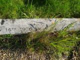 image of grave number 313128